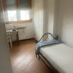 Rent 4 bedroom apartment of 110 m² in Roma