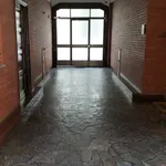 Rent 3 bedroom apartment of 80 m² in Torino