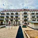 Rent 3 bedroom apartment of 62 m² in Dresden