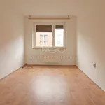 Pronájem bytu 3+1 75m²