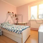 Rent 5 bedroom house of 160 m² in Prague