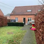 Rent 2 bedroom house in Lichtaart