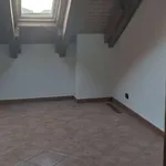 Rent 2 bedroom apartment of 70 m² in Turin