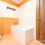 Rent 3 bedroom apartment in Prague