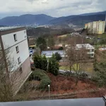 Rent 1 bedroom apartment in Ústí nad Labem