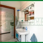 Rent 1 bedroom apartment of 35 m² in Gallarate