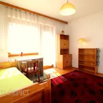 Rent 5 bedroom apartment in Brno