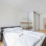 Rent 1 bedroom apartment in gdansk