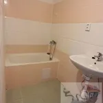 Rent 2 bedroom apartment in Česká Lípa