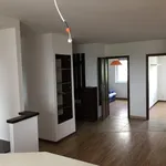 Rent 4 bedroom apartment of 102 m² in Poznan