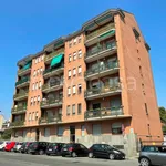 Rent 2 bedroom apartment of 55 m² in Torino