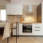 Rent 1 bedroom apartment in Rome