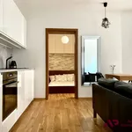 Rent 2 bedroom apartment of 35 m² in Poznan