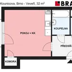 Pronajměte si 1 ložnic/e byt o rozloze 32 m² v Brno