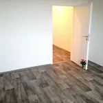 Rent 2 bedroom apartment of 49 m² in Ostrava