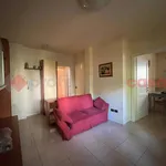 Rent 4 bedroom apartment of 80 m² in Arezzo