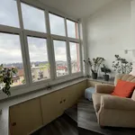 Rent 1 bedroom apartment of 98 m² in Brno