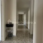 Rent 4 bedroom apartment of 140 m² in Foggia