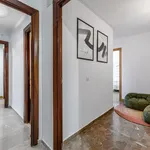 Alquilar 10 dormitorio apartamento en Malaga