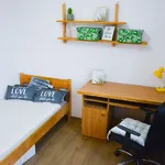 Rent a room in Lodz