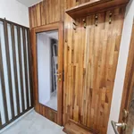 Rent 1 bedroom apartment of 57 m² in Brno