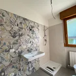 Rent 2 bedroom apartment of 50 m² in Cortemaggiore