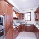 Rent 3 bedroom apartment of 145 m² in Prague