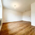 Rent 1 bedroom apartment of 32 m² in Brno