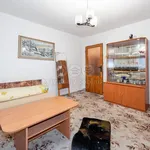 Rent 2 bedroom apartment of 42 m² in Milešín