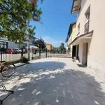 Rent 1 bedroom apartment of 45 m² in Reggio nell'Emilia