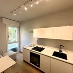 Rent 2 bedroom apartment of 38 m² in Padova