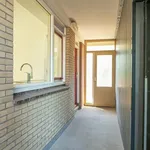 Rent 4 bedroom apartment of 94 m² in Delft