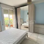 Rent 3 bedroom apartment of 80 m² in Riccione