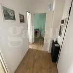 Rent 1 bedroom apartment of 40 m² in Milano