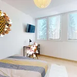 Rent a room in Pau