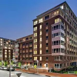 Rent 1 bedroom apartment in Raleigh