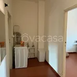 Rent 2 bedroom apartment of 55 m² in Milano