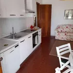 Appartamento arredato con terrazzo Centro