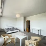 Rent 3 bedroom apartment of 130 m² in Prague