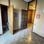 Rent 5 bedroom apartment of 181 m² in Foggia