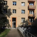 Rent 1 bedroom apartment in Prague