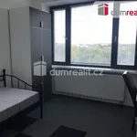 Rent 1 bedroom apartment in Prague