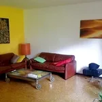 2½ room apartment in Adliswil (ZH), furnished, temporary