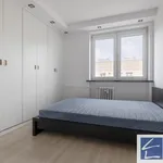 Rent 3 bedroom apartment in Szczecin