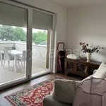 Rent 5 bedroom apartment of 140 m² in Bologna