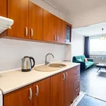 Rent 2 bedroom apartment in Capital City of Prague