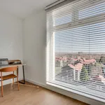 Huur 3 slaapkamer appartement van 80 m² in Wittevrouwenveld