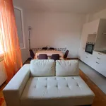 Rent 3 bedroom apartment of 65 m² in Forlì-Cesena