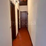 Rent 2 bedroom apartment of 60 m² in Parma