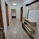 Rent 3 bedroom apartment of 100 m² in Каменица 1